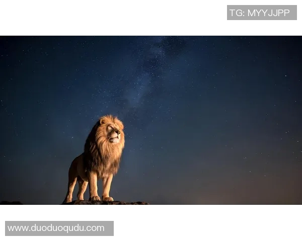 天命之星狮子座球员的闪耀瞬间与荣耀历程