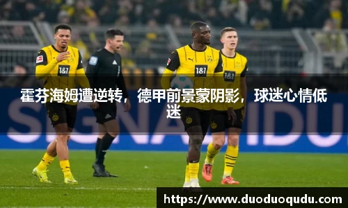 V体育
